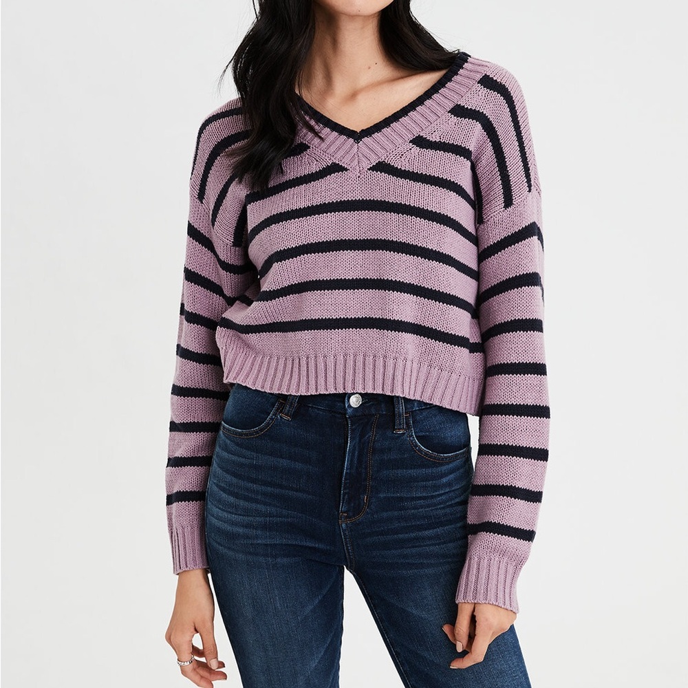AE Striped V-Neck Cropped Sweater - Purple and Black